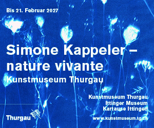 (m) Kunstmuseum – Simone Kappeler1