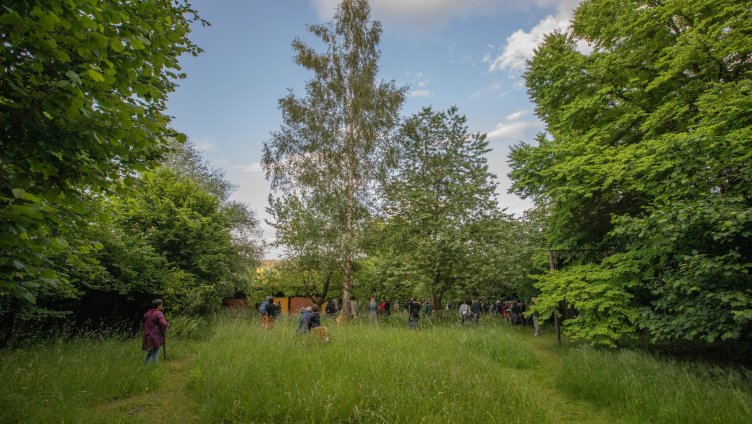 lauschig und achtsam – Waldbaden mit Poesie