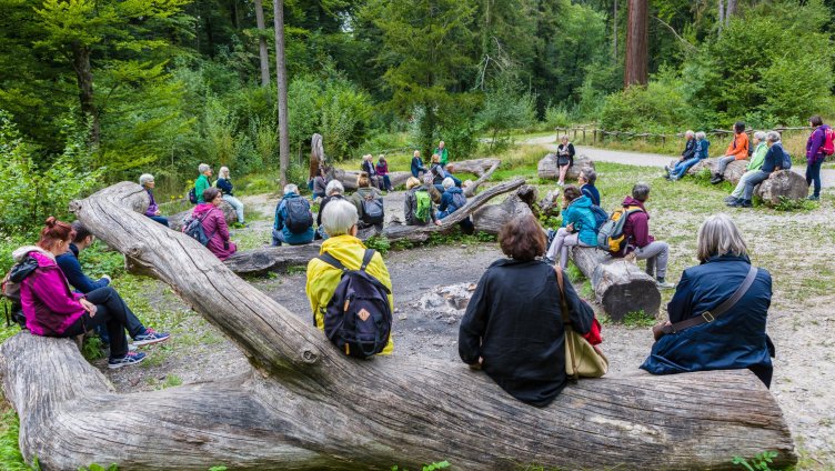 lauschig unterwegs – Waldspaziergang mit Yusuf Yesilöz