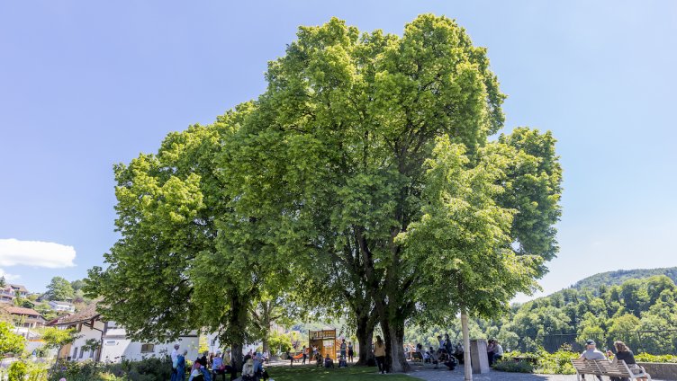 lauschig unterwegs – Seespaziergang mit Uta Köbernick