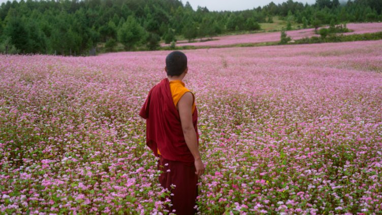 The Monk and the Gun