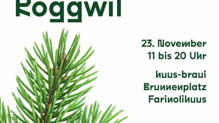 Der zweite Roggwiler Adventsmarkt steht vor der Tür