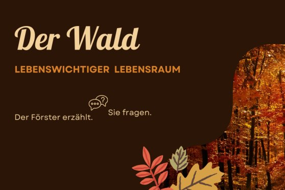 Der Wald - ohne ihn kein Leben!