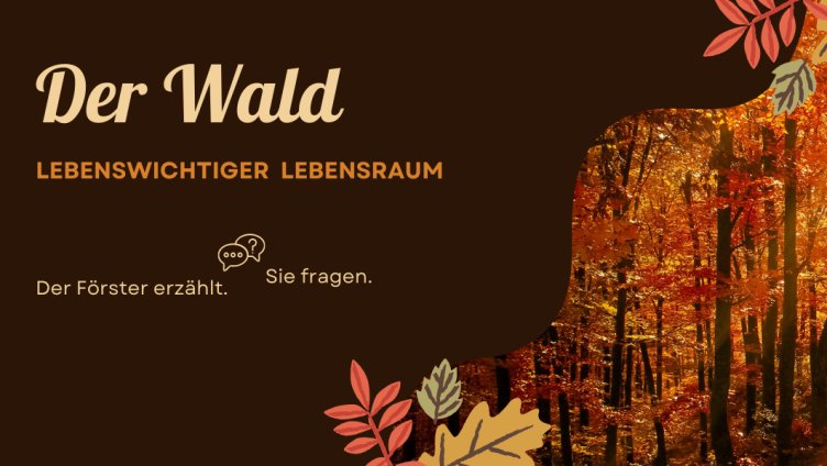 Der Wald - ohne ihn kein Leben!