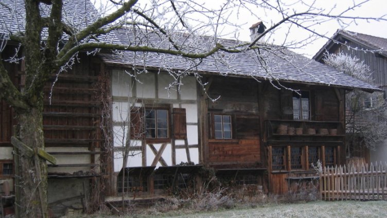 Bohlenständerhaus