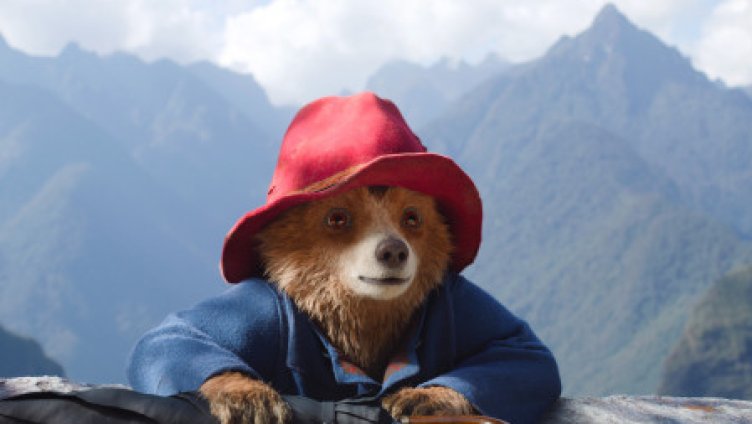 Paddington in Peru