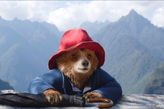 Paddington in Peru