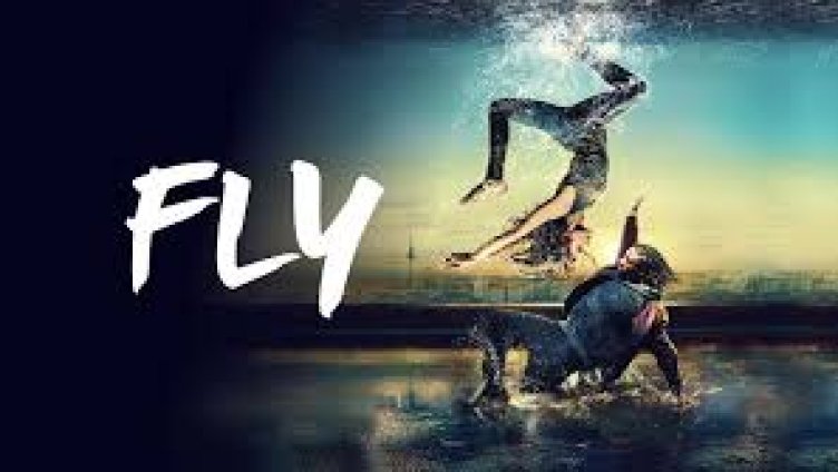 Film im kulTisch - Fly