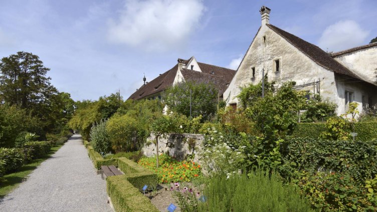 Öffentliche Gartenführung: Streifzug durch die Gärten der Kartause Ittingen