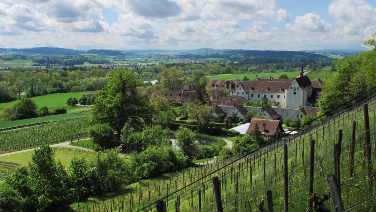 Öffentliche Führung: Das Leben der Mönche - Wein und Wohlstand im Fokus