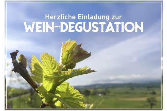Weindegustation bei Weinbau Markus Held