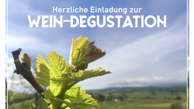 Weindegustation bei Weinbau Markus Held