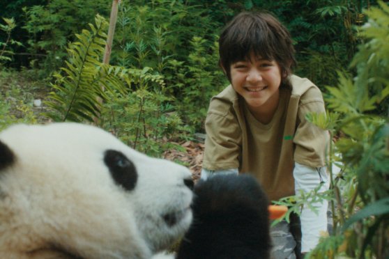Moon der Panda