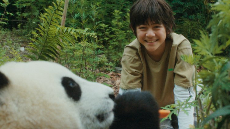 Moon der Panda