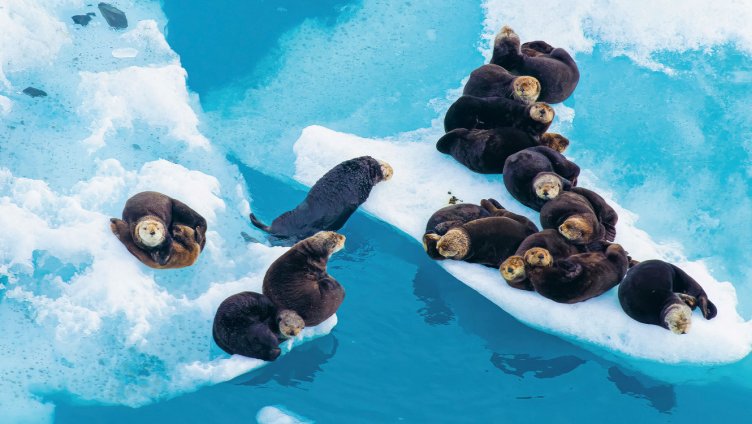 Explora präsentiert: Alaska - Wildes Land