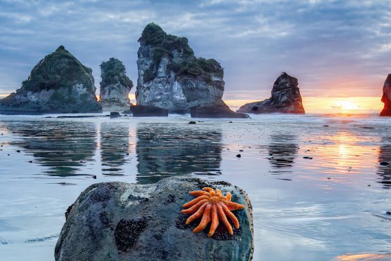 Explora präsentiert: Wunderwerk Natur