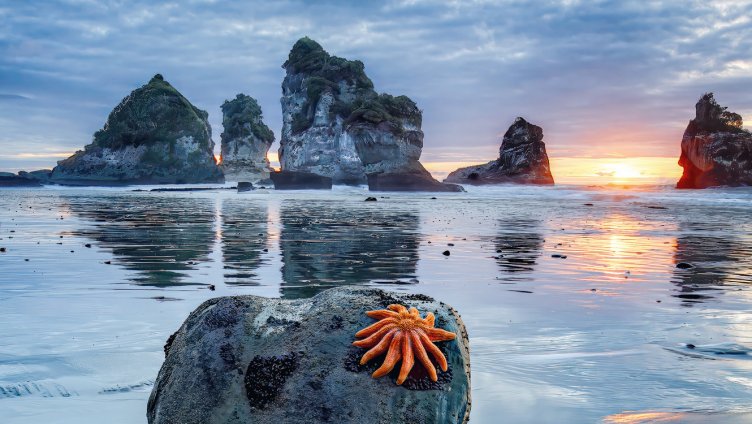 Explora präsentiert: Wunderwerk Natur