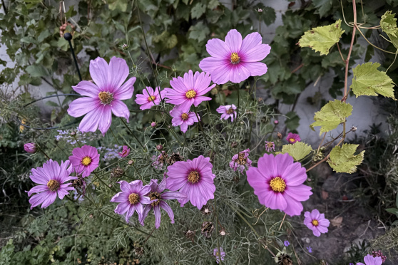 Zukünfte schreiben - Labor für neue Welten