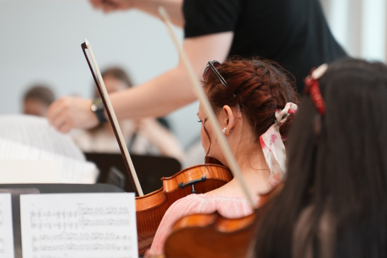 Junge Bodensee Philharmonie