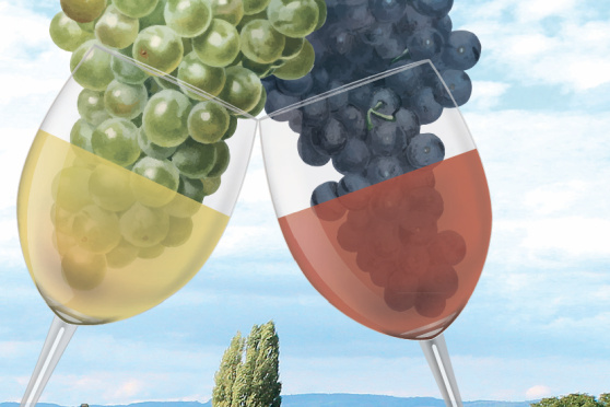 28. Weinfest Berlingen