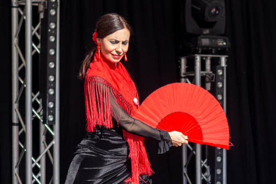 Flamenco, Tanz & Bewegung