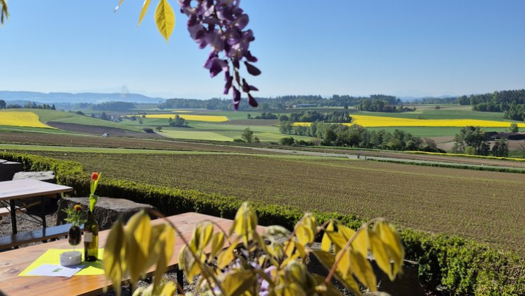 Tag der offenen Tür