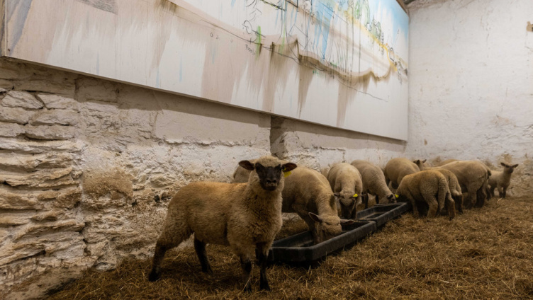 Fabrice Hyber – Homme de Terre