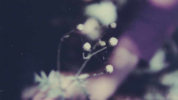 Simone Kappeler - nature vivante