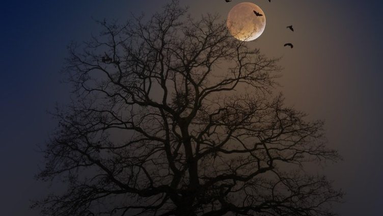 Gruseliges und Geheimnisvolles - Ein Märchenabend für Erwachsene