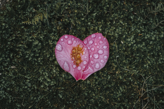 Jahreszeiten im Wandel