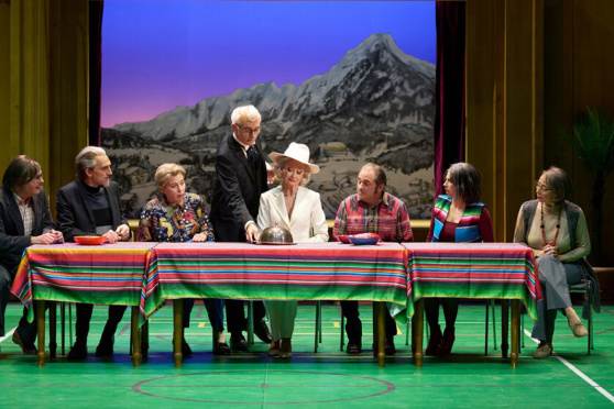 Der Besuch der alten Dame