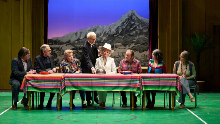 Der Besuch der alten Dame