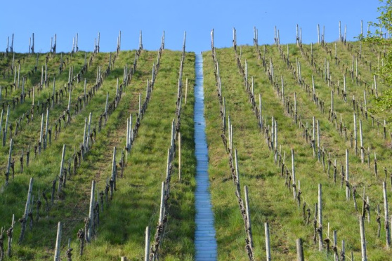 Kunst und Spiritualität im Dialog