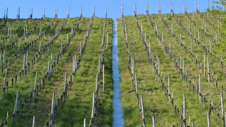 Kunst und Spiritualität im Dialog