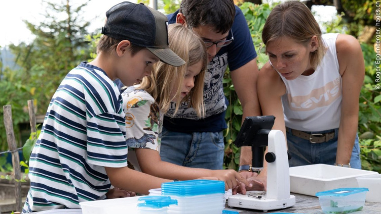 Mikroplastik im Bodensee?
