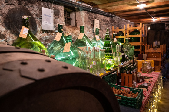 Kultur bim Puur - Kellerbesichtigung mit Degustation
