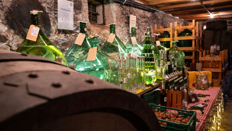 Kultur bim Puur - Kellerbesichtigung mit Degustation