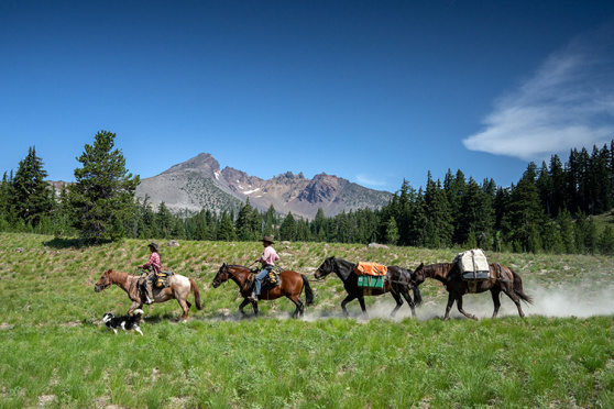 Live-Vortrag: Im Sattel durch Amerika