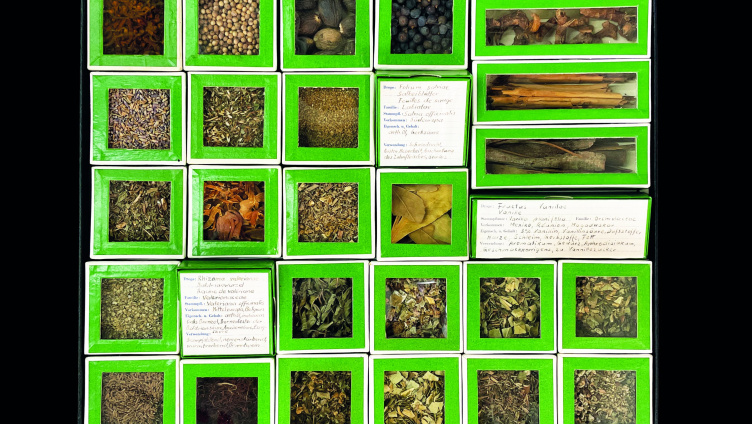 Es tökterlet e bitzli - Die Drogensammlung von Paul Schaad