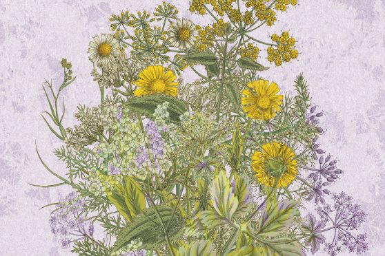 Allein die Dosis macht's