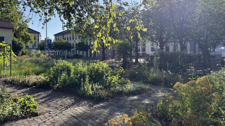 Vom Gartenbeet aufs Zvieribrot