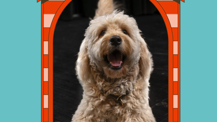 WAU WOW  –  ein Hundsstück