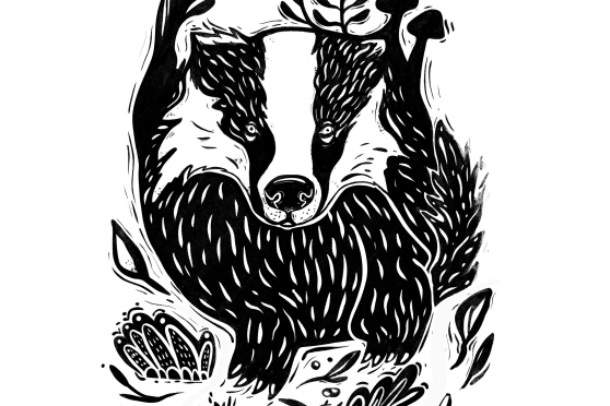 Sonderausstellung ‹Wow … ein Dachs!›