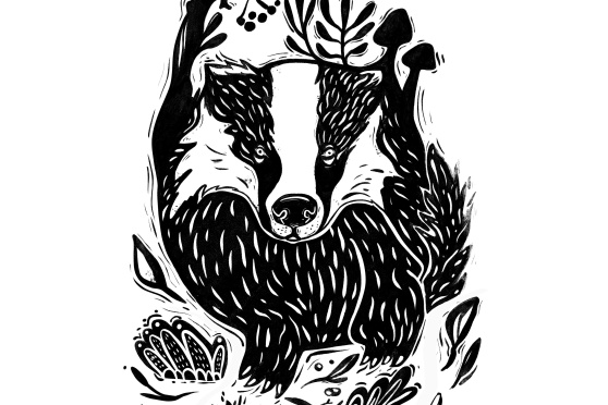 Eröffnung der Sonderausstellung ‹Wow … ein Dachs!›