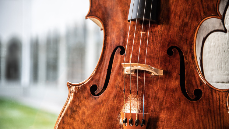 Klassifest mit der Bodensee Philharmonie