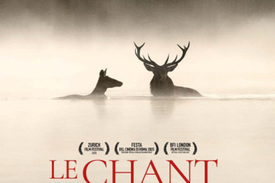 Le chant des forêts