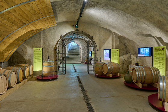 Kuratorenführung «2000 Jahre Wein auf Arenenberg»