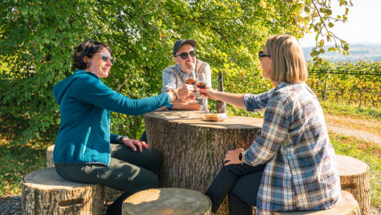 Kunst & Wein am Iselisberg