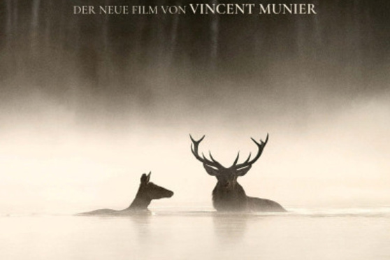 Le chant des forêts