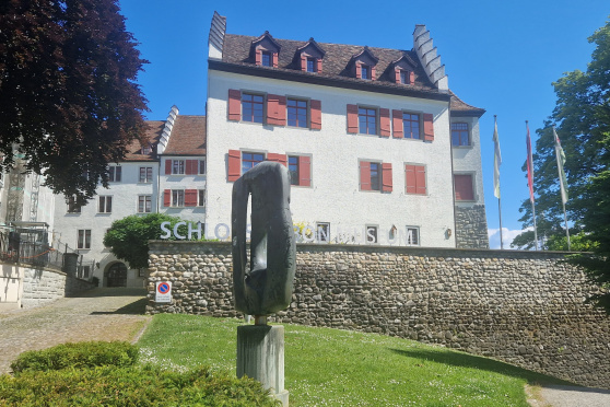 Textilhandel macht Arbon reich ...